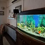 Appartamento Summer Šibenik