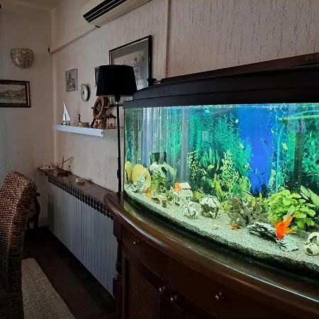 Apartment Summer Sibenik