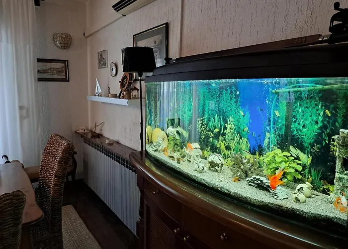 Daire Summer Šibenik